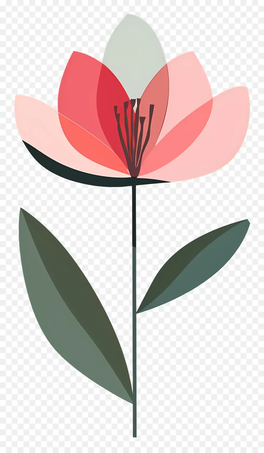 Flor única，Flor Colorida PNG