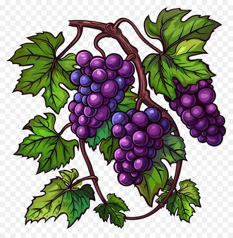 Vid De Uva，Uvas PNG