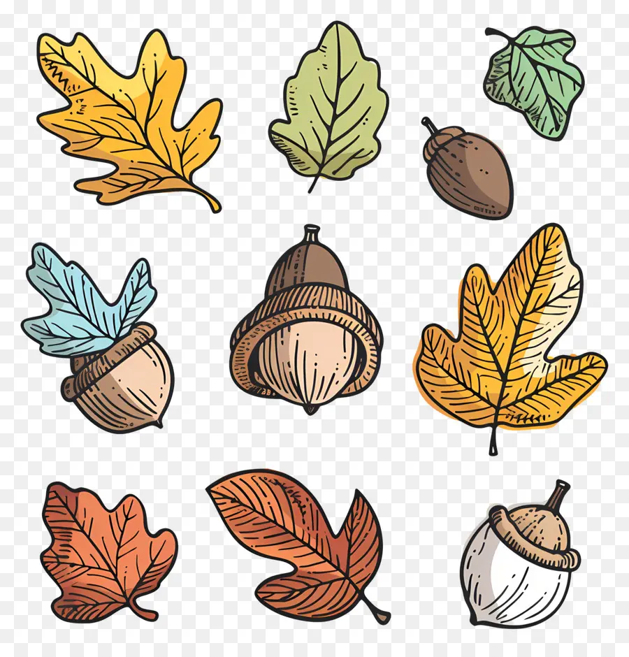 Hojas De Otoño，Hojas De Otoño Y Bellotas PNG