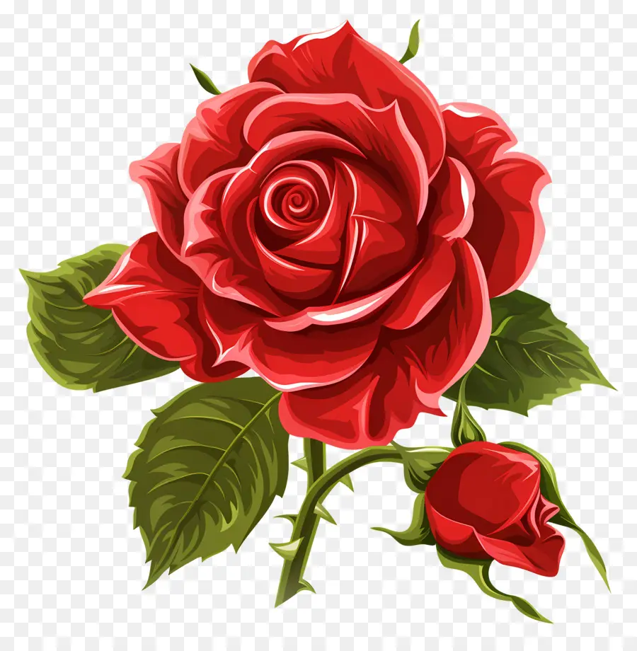 Rosa Roja，Hojas PNG