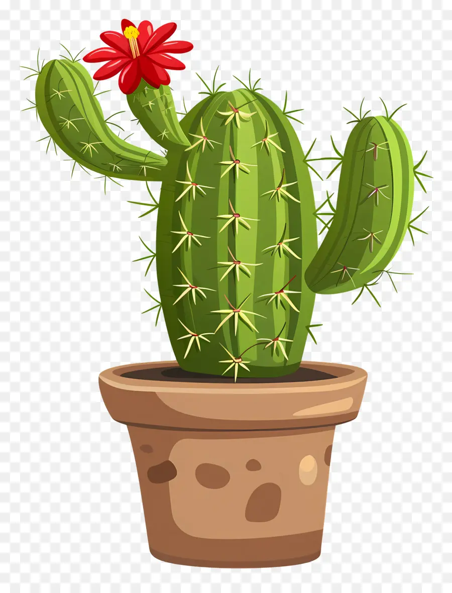 Cactus Verde，Cactus PNG