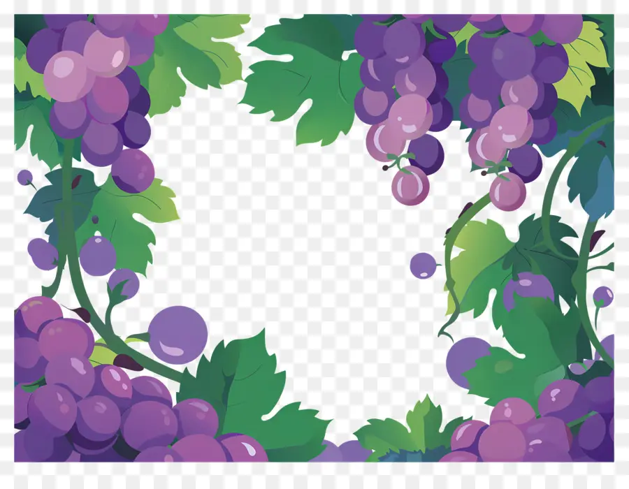 Frontera De Uva，Uvas PNG