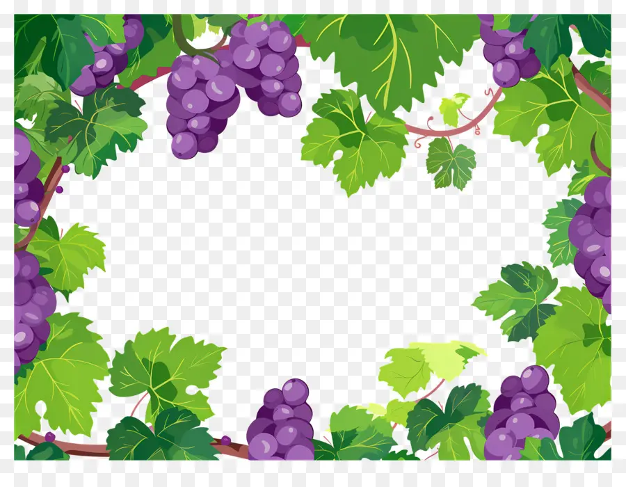 Frontera De Uva，Uvas PNG