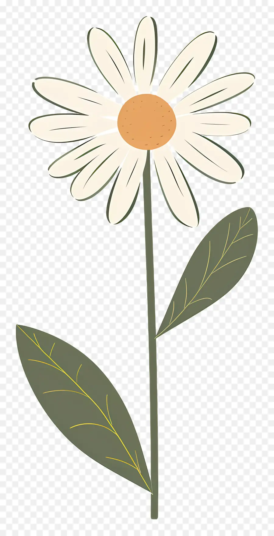 Flor única，Margarita Sencilla PNG