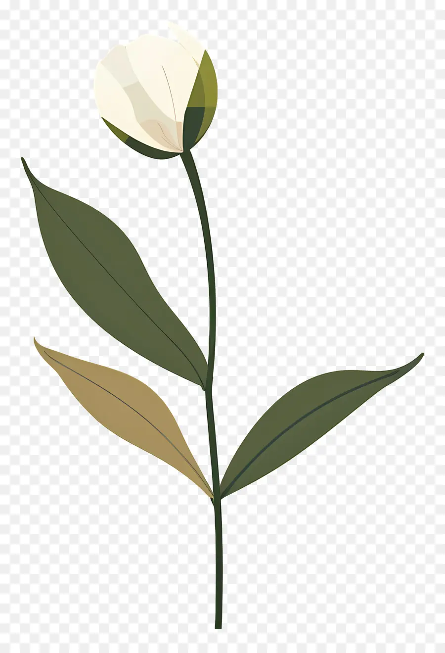 Flor única，Flor Blanca PNG