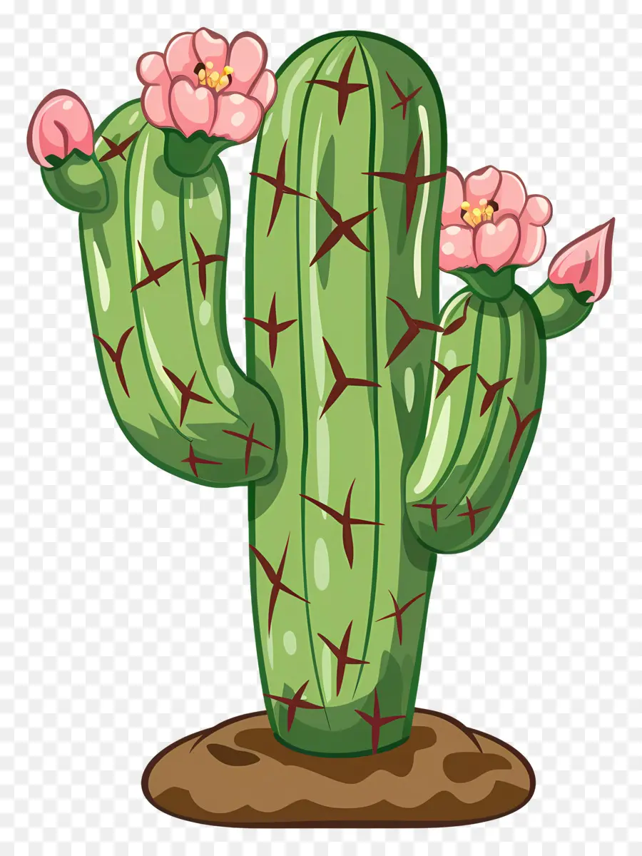 Cactus Verde，Cactus Con Flores PNG