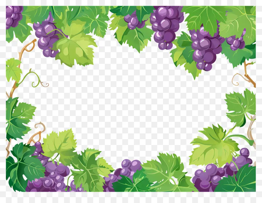 Frontera De Uva，Uvas PNG