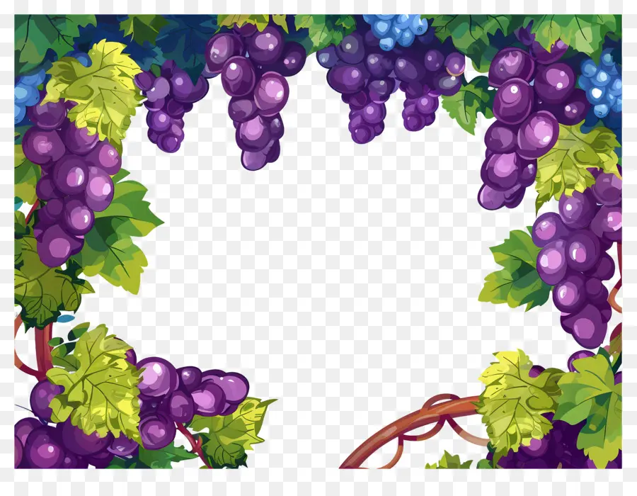 Frontera De Uva，Uvas PNG