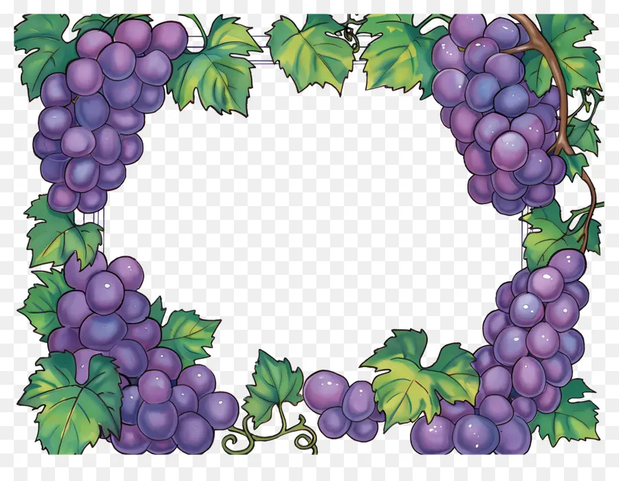 Frontera De Uva，Uvas PNG