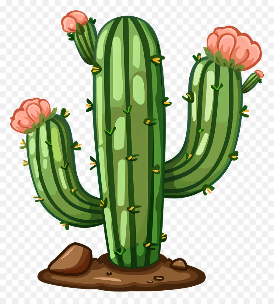 Cactus Verde，Cactus PNG