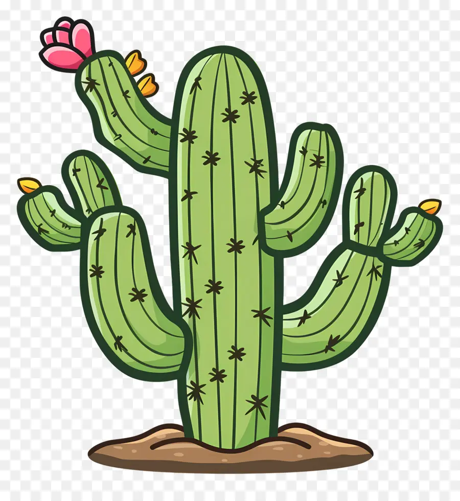 Cactus Verde，Cactus PNG