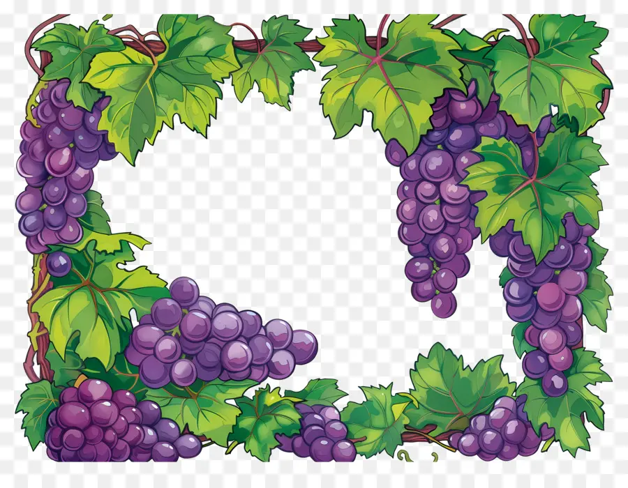 Frontera De Uva，Uvas PNG