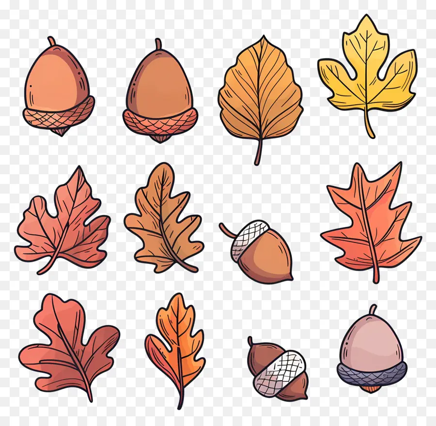 Hojas De Otoño，Hojas De Otoño Y Bellotas PNG