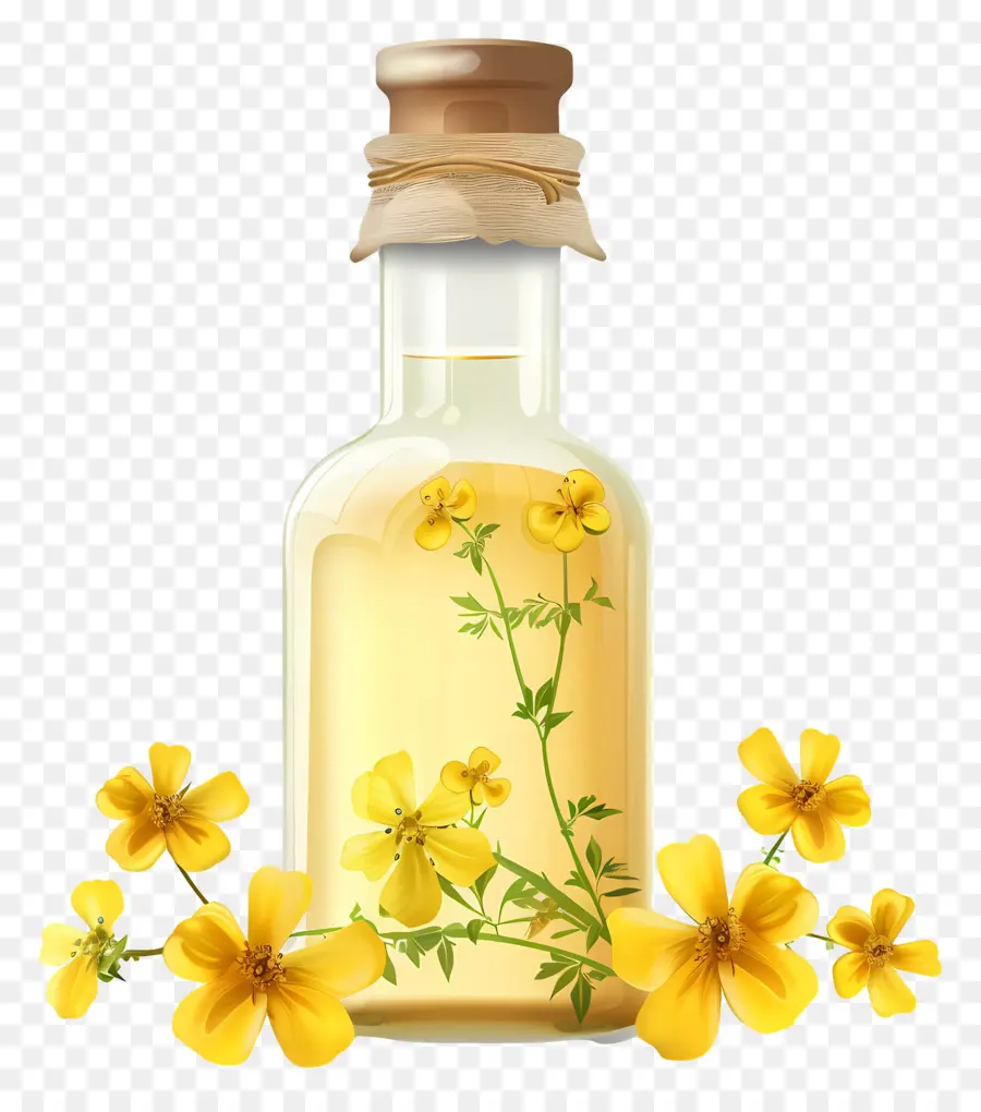 Aceite De Canola，Aceite De Hierbas PNG