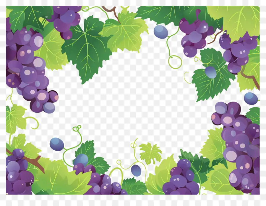 Frontera De Uva，Uvas PNG