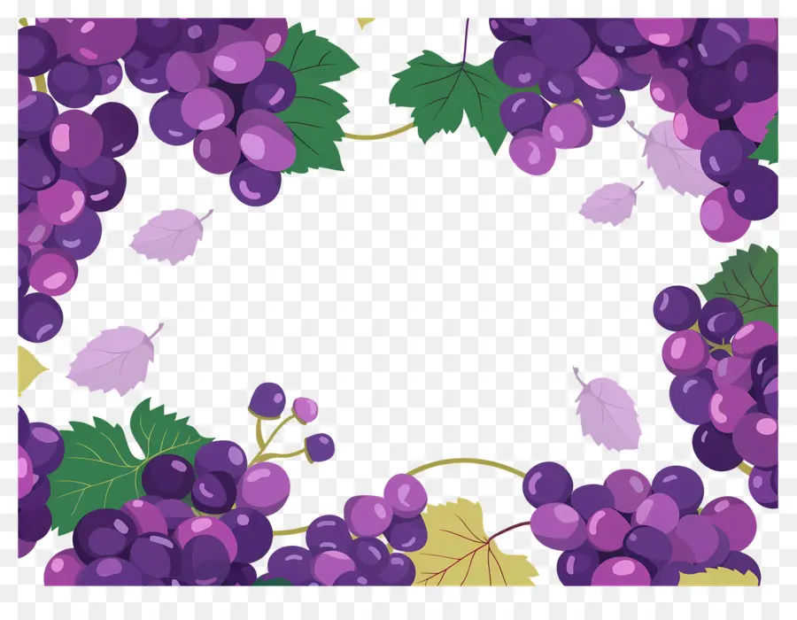 Frontera De Uva，Marco De Uvas PNG