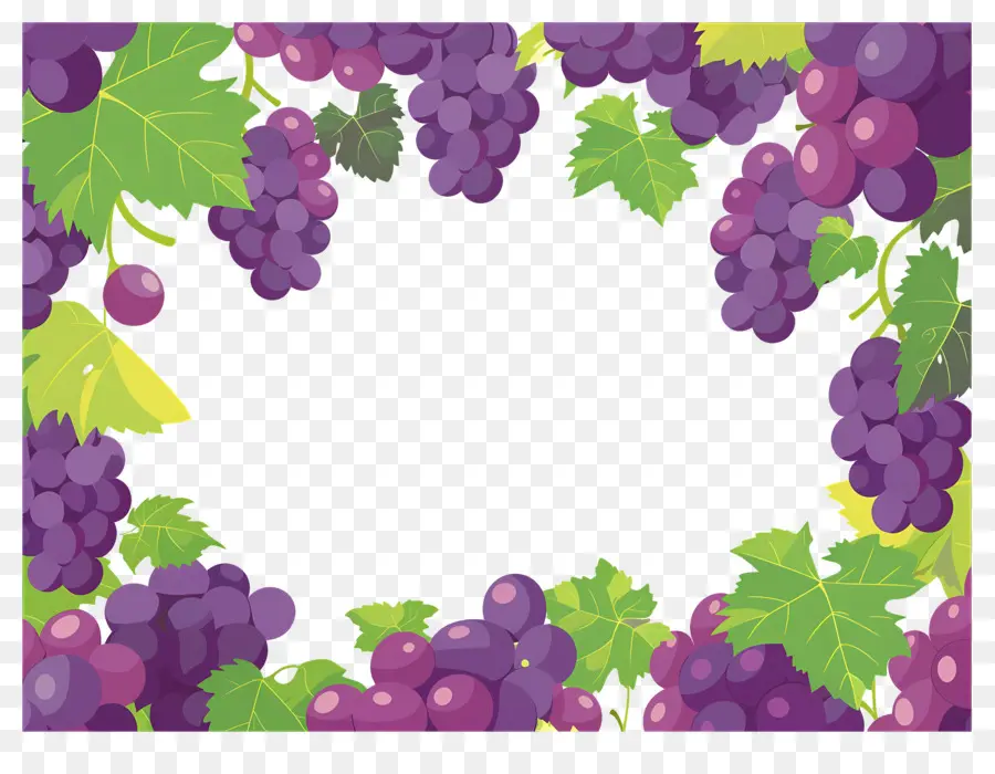 Frontera De Uva，Marco De Uvas PNG