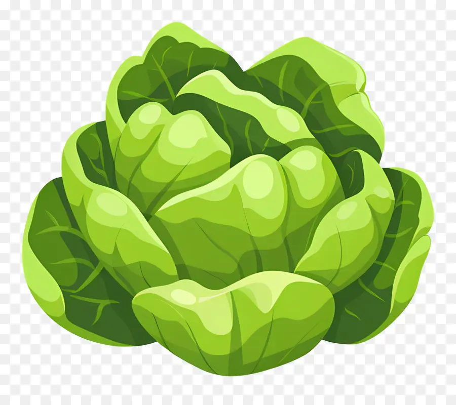 Repollo，Lechuga PNG