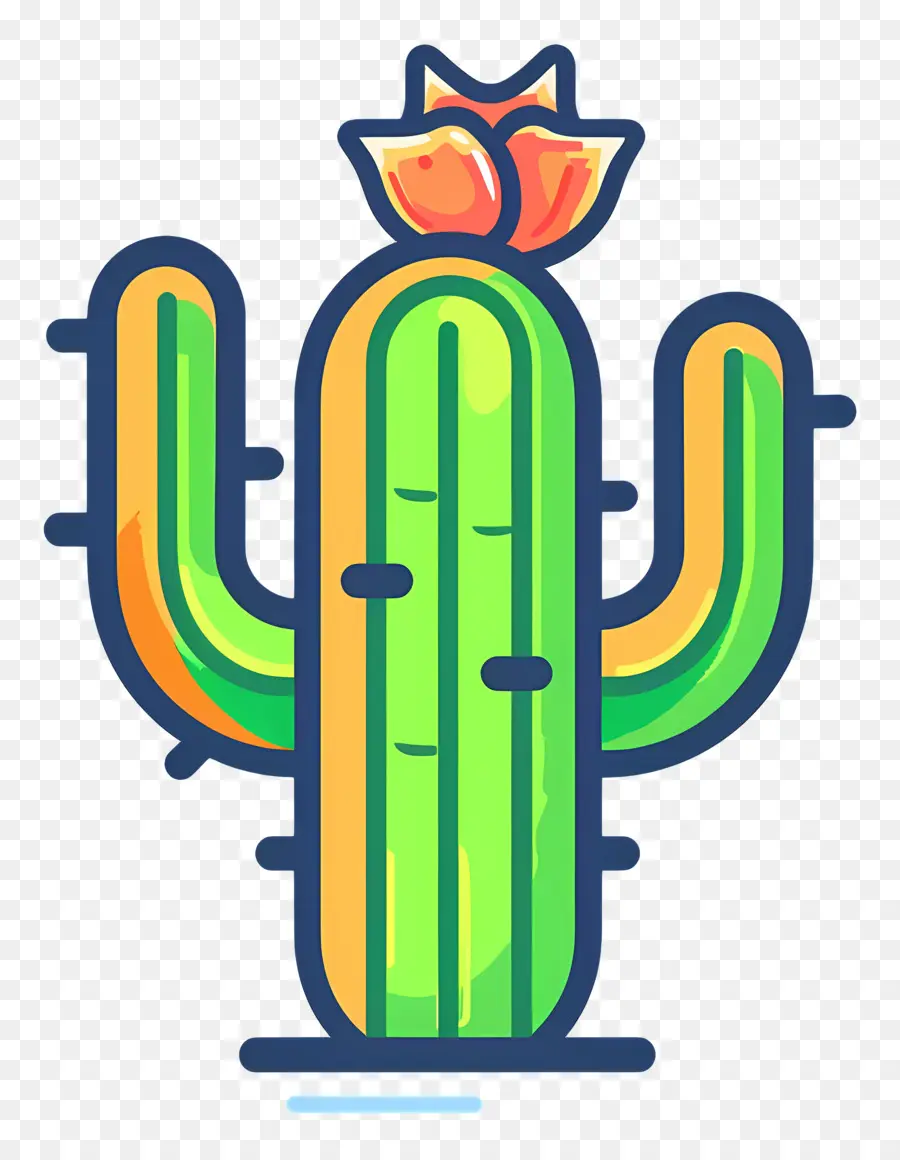 Cactus Verde，Cactus PNG