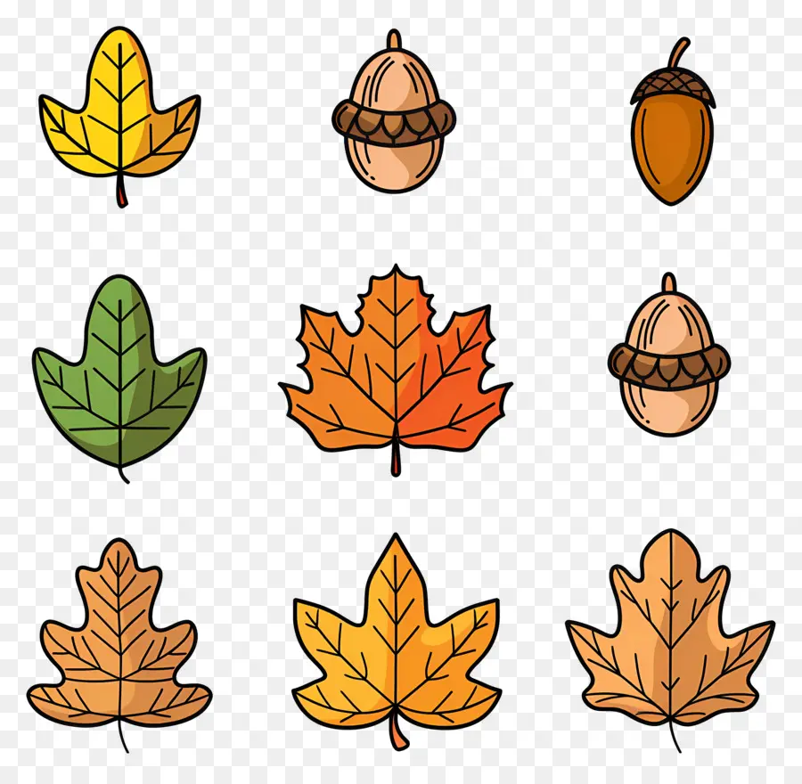 Hojas De Otoño，Hojas De Otoño Y Bellotas PNG