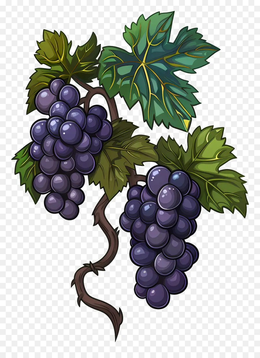 Vid De Uva，Uvas Azules PNG