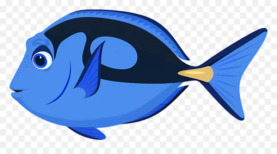 Pescado Azul，Peces Coloridos PNG