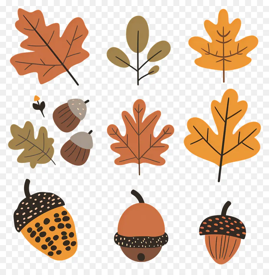 Hojas De Otoño，Hojas De Otoño Y Bellotas PNG