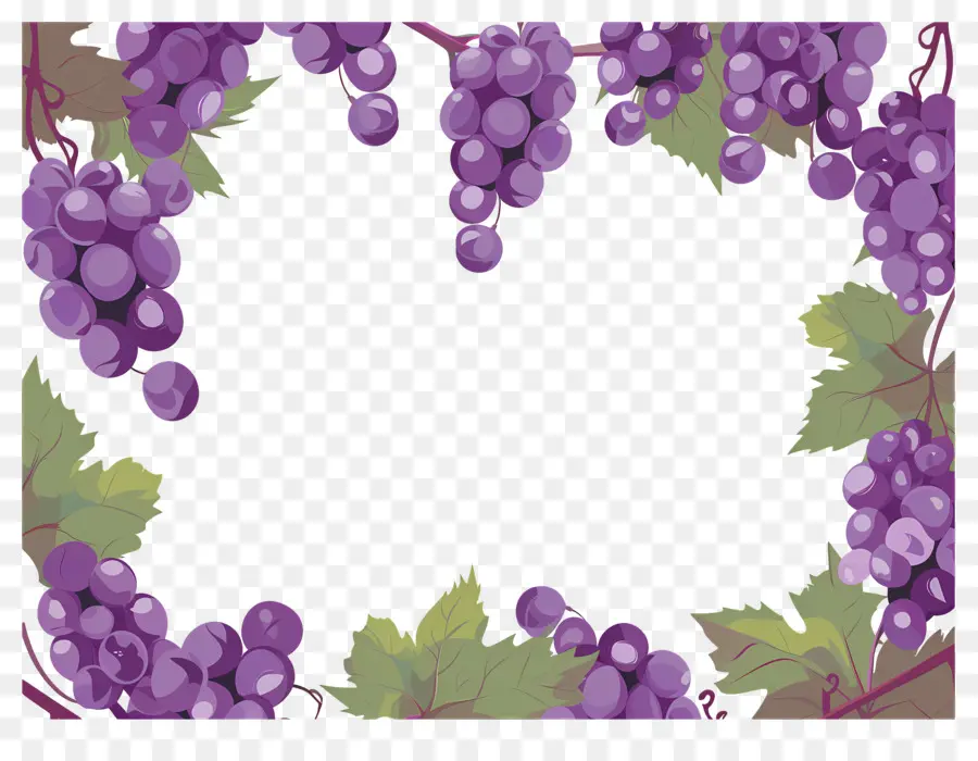 Frontera De Uva，Marco De Uvas PNG