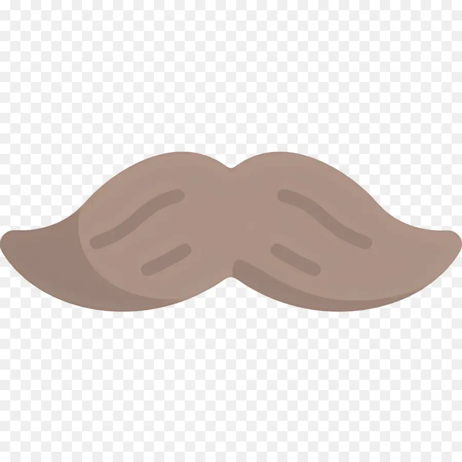 Bigote，Vello Facial PNG