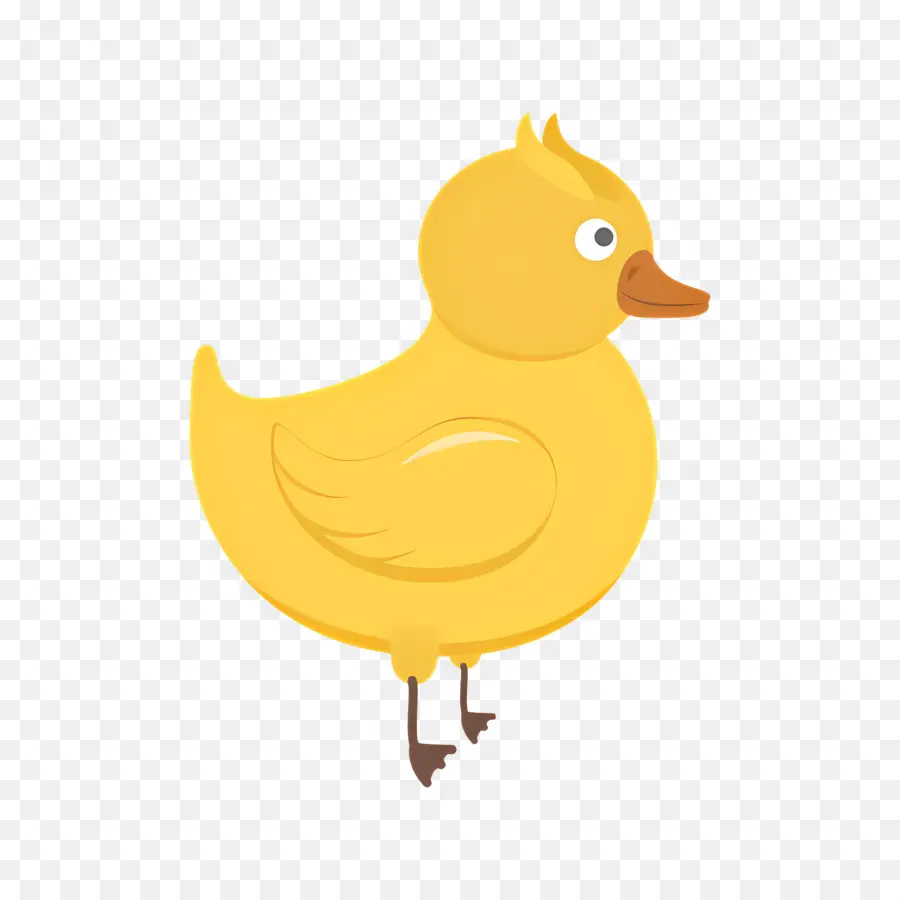 Pato De Dibujos Animados，Pato Amarillo PNG