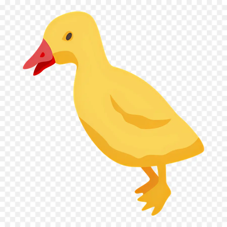 Pato De Dibujos Animados，Pato Amarillo PNG