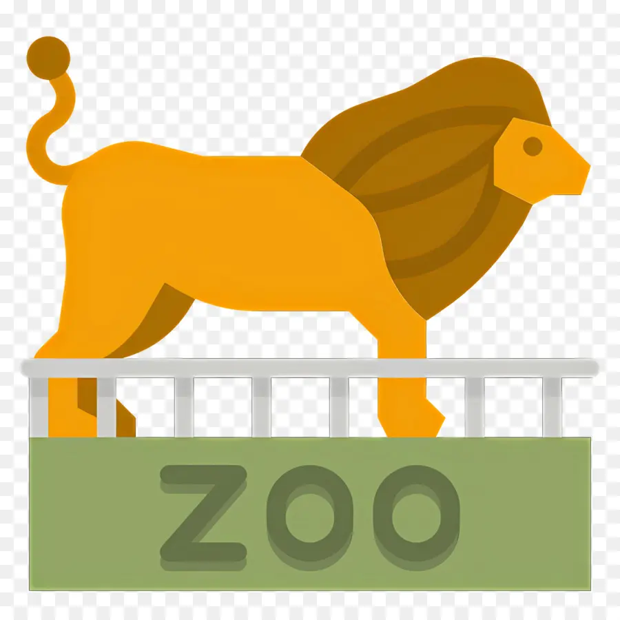 Zoo，León PNG