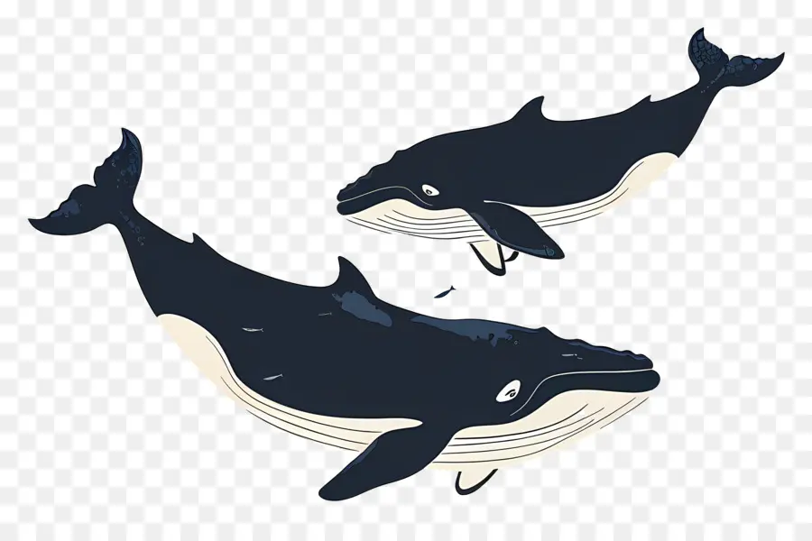 Linda Ballena，Ballenas PNG