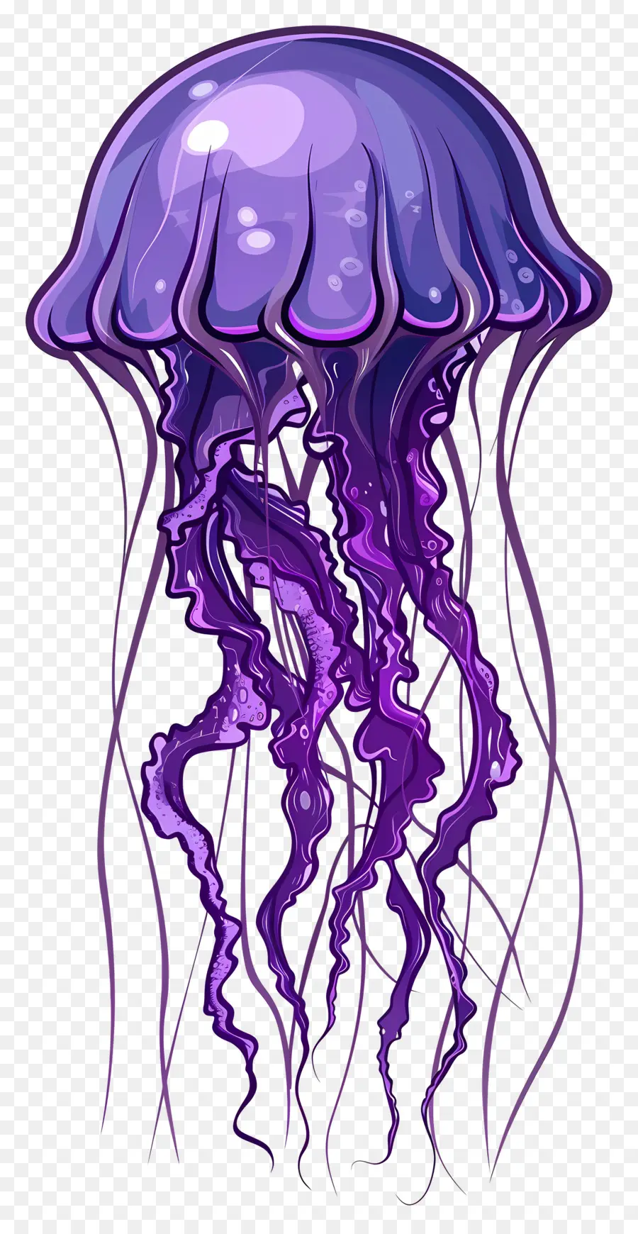 Medusas，Medusa Morada PNG