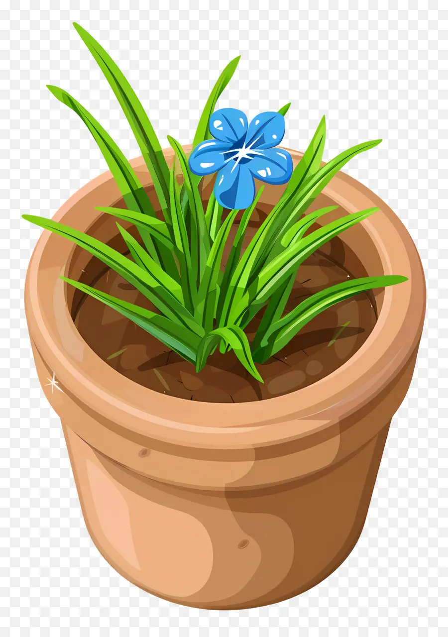 Vista Superior De Las Plantas，Planta En Maceta Con Flor Azul PNG