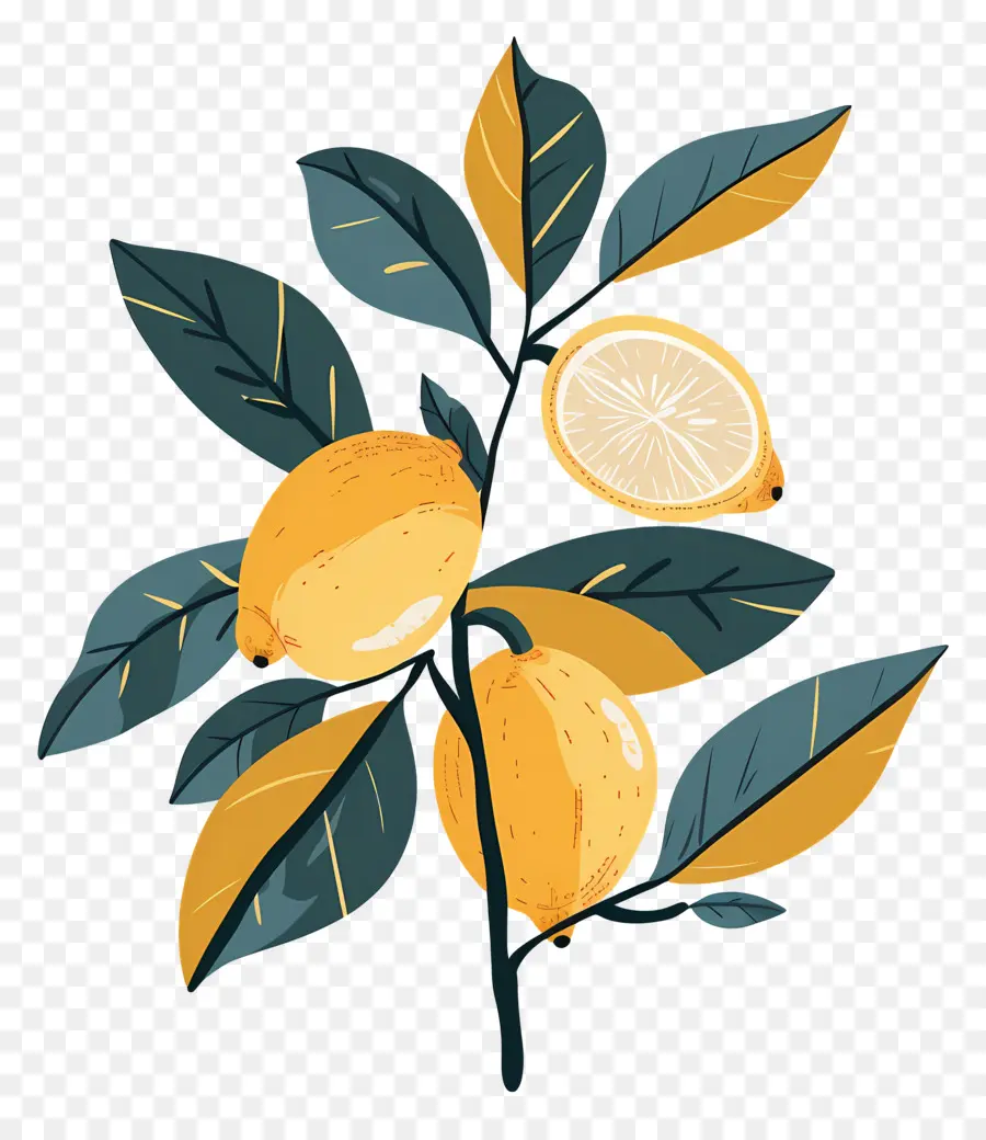 Limones Con Hojas，Limon Y Flores PNG