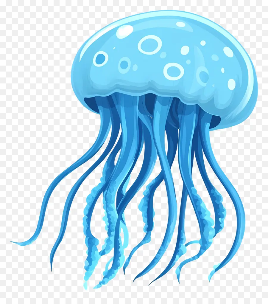 Medusas，Par De Medusas Azules PNG