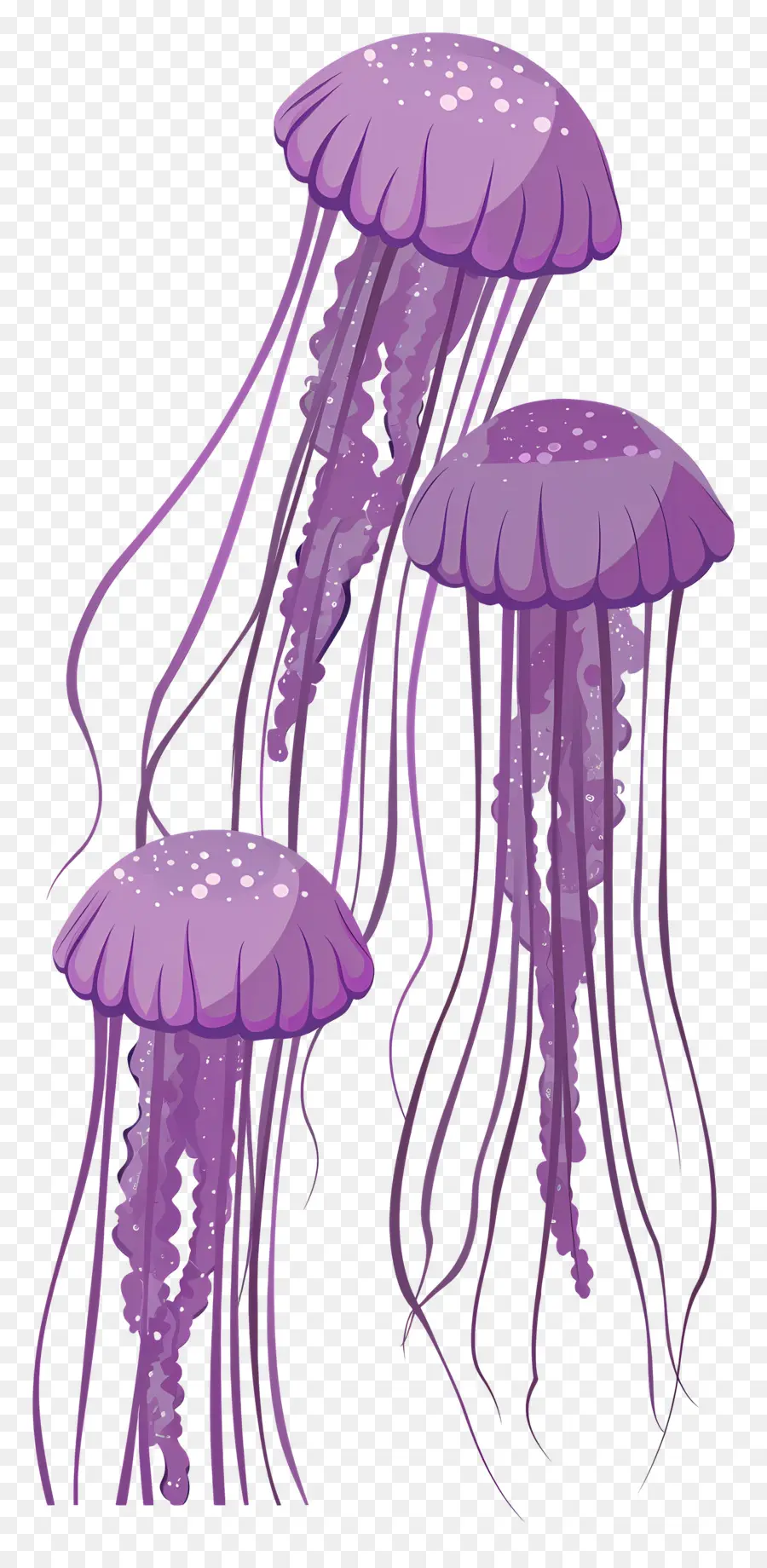 Medusas，Medusa Morada PNG