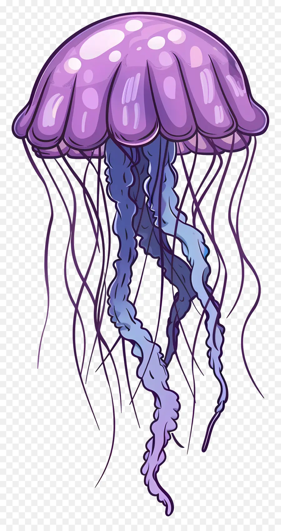 Medusas，Medusa Morada PNG