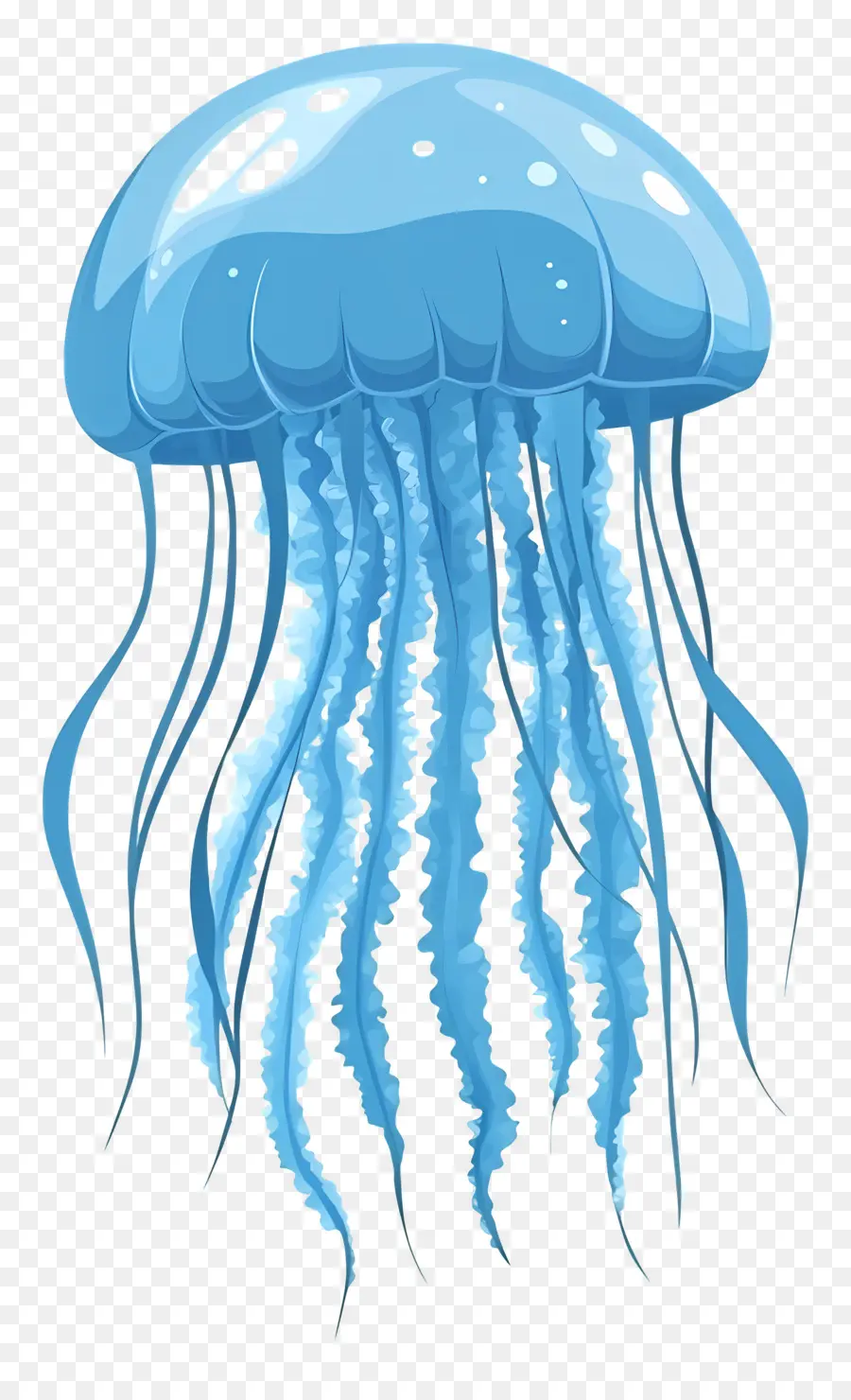 Medusas，Medusa PNG