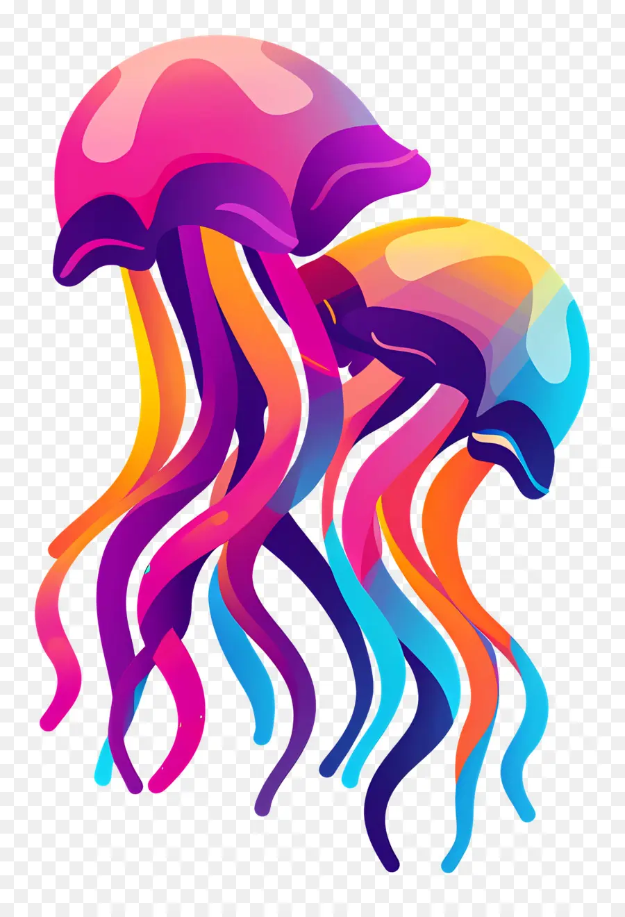 Medusas，Medusas De Colores PNG