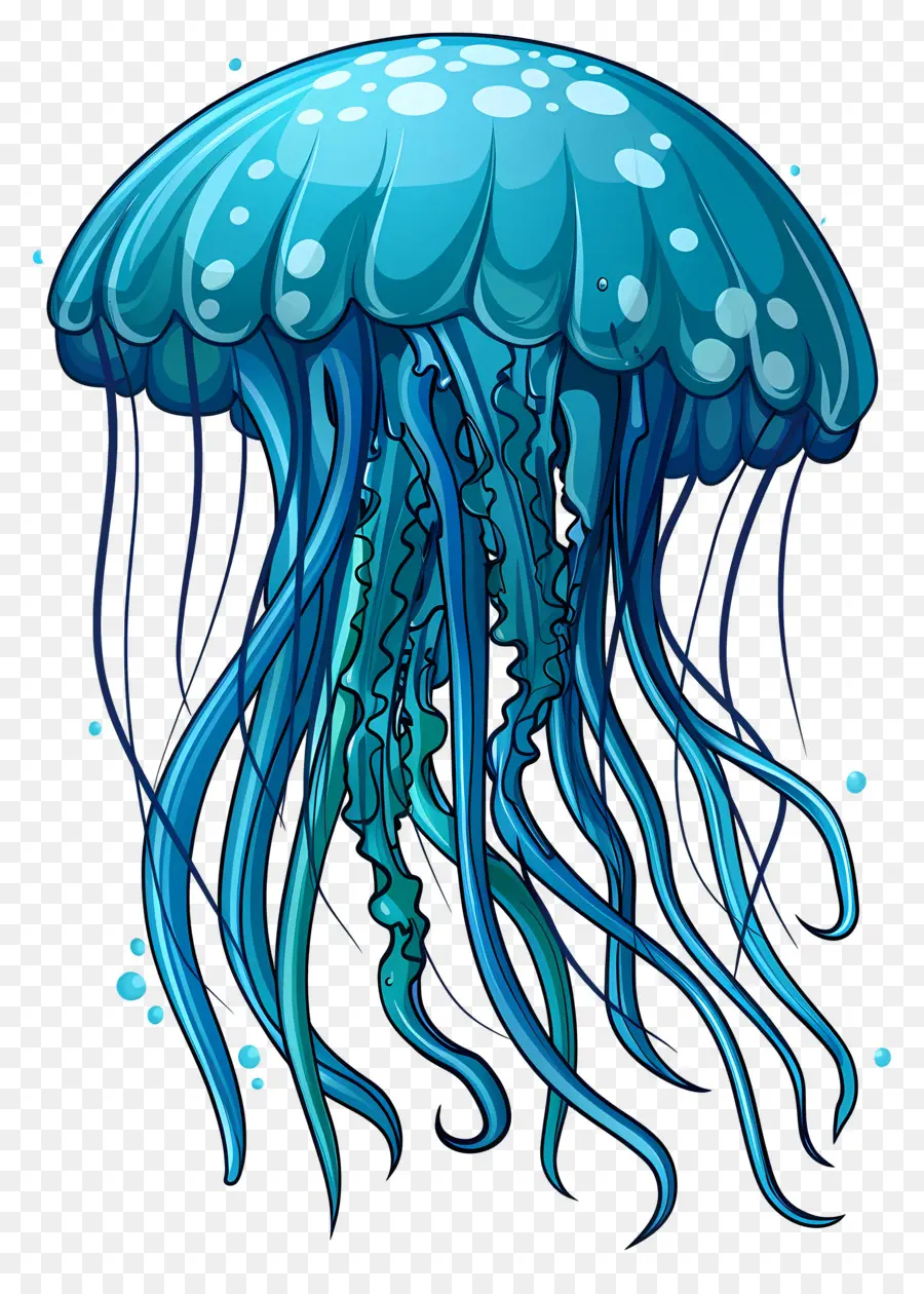 Medusas，Medusas Coloridas PNG