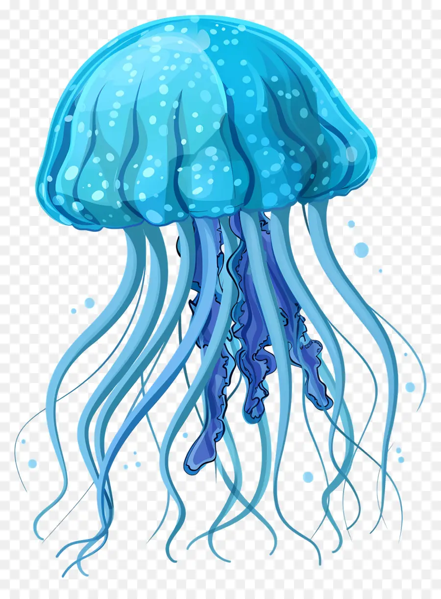 Medusas，Medusa Azul PNG