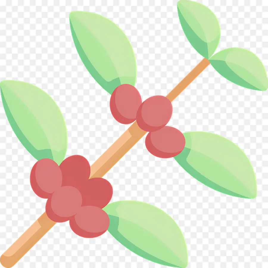 Planta De Cafe，Hojas PNG