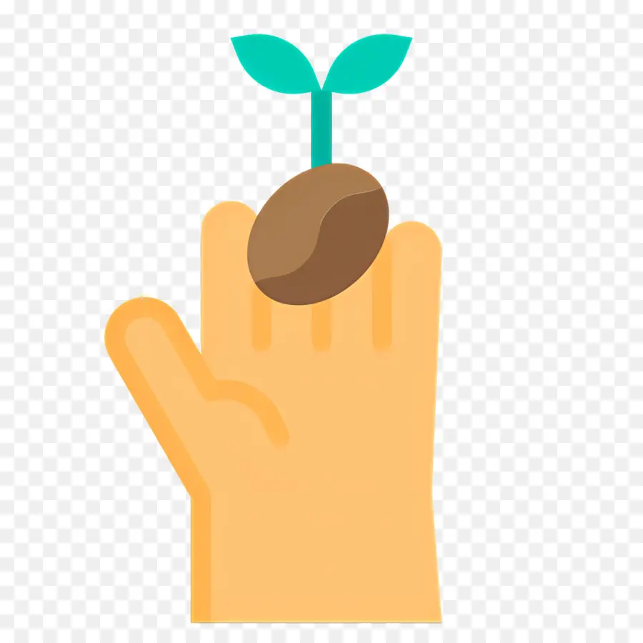 Semilla De Cafe，Mano Con Plántula PNG