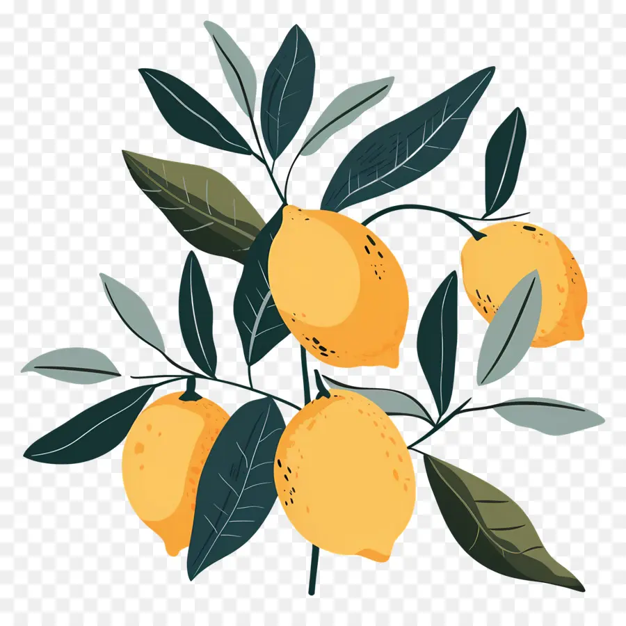 Limones Con Hojas，Limones Amarillos PNG