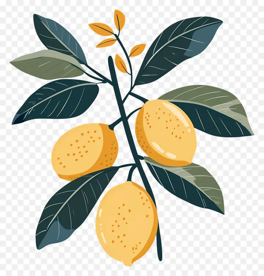 Limones Con Hojas，Limones Amarillos PNG