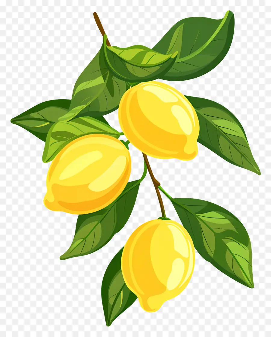 Limones Con Hojas，Rama De Limon PNG