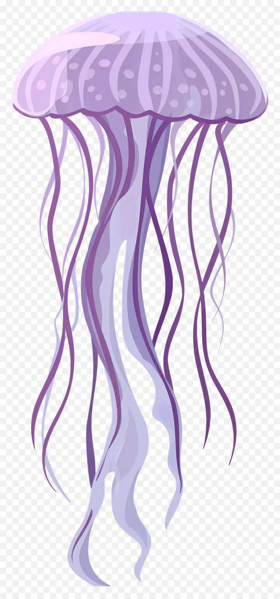 Medusas，Medusa Morada PNG