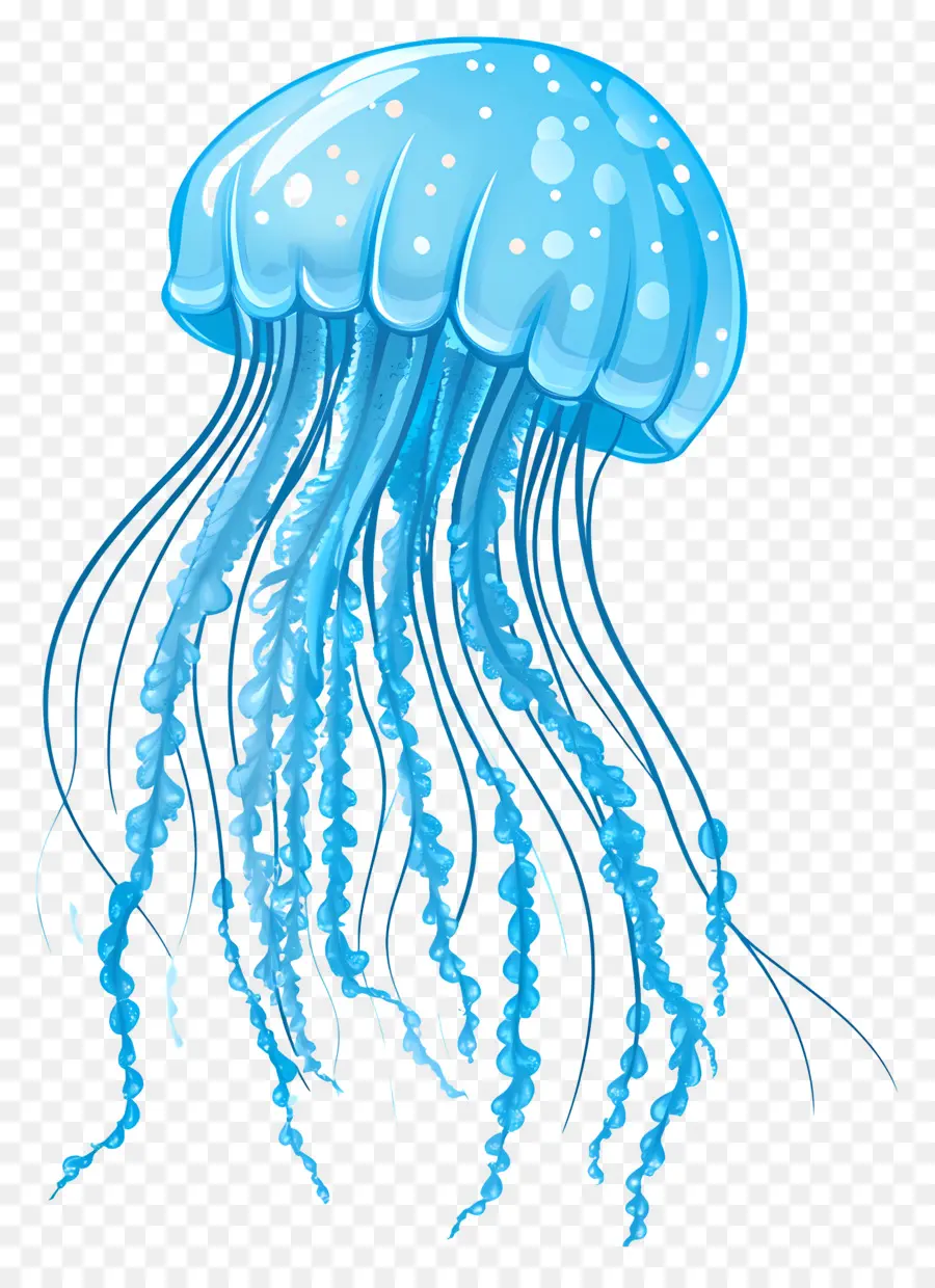 Medusas，Par De Medusas Azules PNG